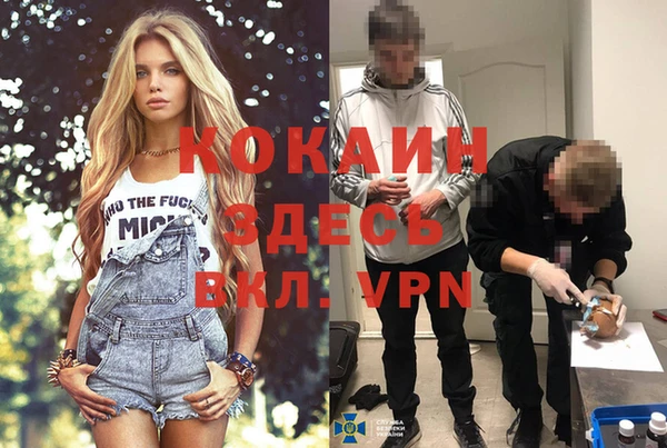 винт Алексеевка