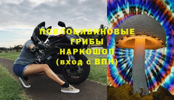 винт Алексеевка