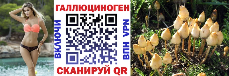 ОМГ ОМГ tor  Обнинск  Галлюциногенные грибы Psilocybine cubensis 